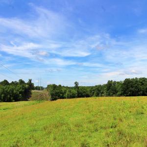 Photo #17 of Story Road, Concord, VA 80.0 acres