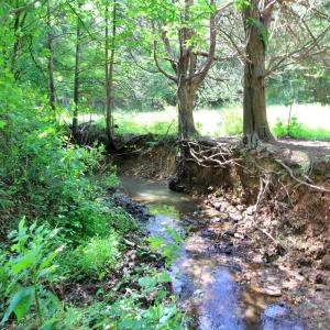 Photo #4 of Story Road, Concord, VA 80.0 acres