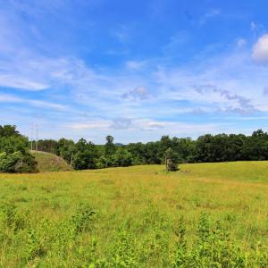 Photo #16 of Story Road, Concord, VA 80.0 acres