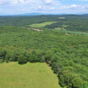 Photo #9 of Story Road, Concord, VA 80.0 acres