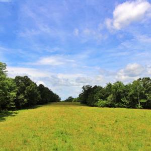 Photo #2 of Story Road, Concord, VA 80.0 acres