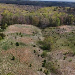 Photo #3 of Clarion Road, Altavista, VA 9.5 acres