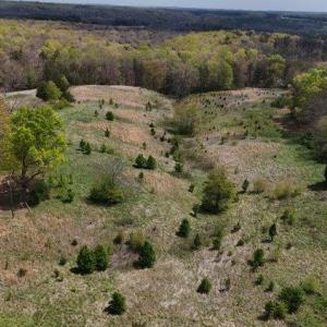 Photo #1 of Clarion Road, Altavista, VA 9.5 acres