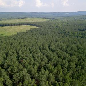 Photo #12 of 1100 Grandmas Hill Road, Amherst, VA 115.0 acres