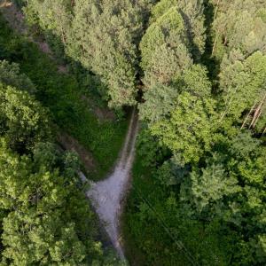 Photo #15 of 1100 Grandmas Hill Road, Amherst, VA 115.0 acres