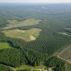 Photo #4 of 1100 Grandmas Hill Road, Amherst, VA 115.0 acres