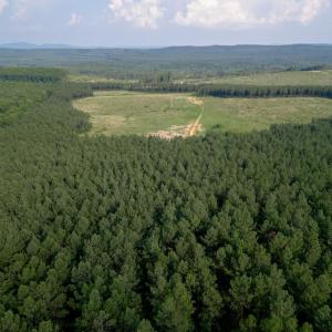 Photo #13 of 1100 Grandmas Hill Road, Amherst, VA 115.0 acres