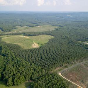 Photo #7 of 1100 Grandmas Hill Road, Amherst, VA 115.0 acres