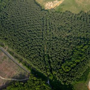 Photo #9 of 1100 Grandmas Hill Road, Amherst, VA 115.0 acres