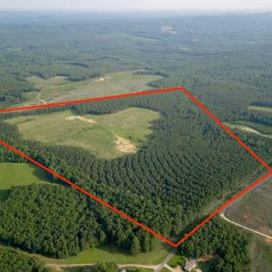 Photo #3 of 1100 Grandmas Hill Road, Amherst, VA 115.0 acres