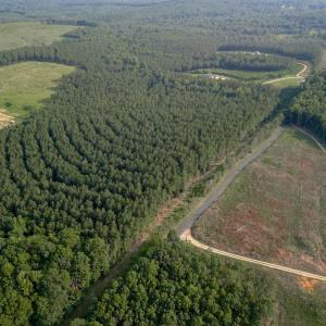 Photo #8 of 1100 Grandmas Hill Road, Amherst, VA 115.0 acres