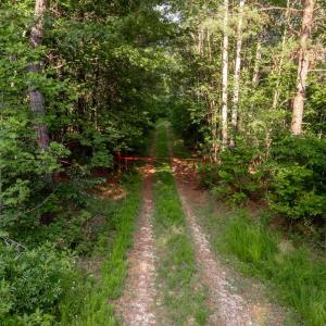 Photo #16 of 1100 Grandmas Hill Road, Amherst, VA 115.0 acres