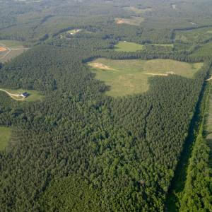 Photo #6 of 1100 Grandmas Hill Road, Amherst, VA 115.0 acres