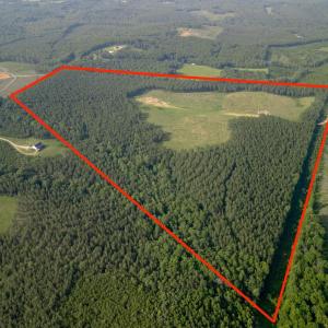 Photo #5 of 1100 Grandmas Hill Road, Amherst, VA 115.0 acres