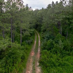 Photo #17 of 1100 Grandmas Hill Road, Amherst, VA 115.0 acres