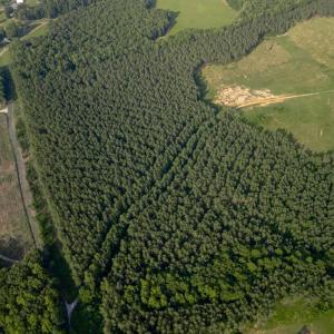 Photo #10 of 1100 Grandmas Hill Road, Amherst, VA 115.0 acres