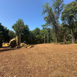 Homesite cleared and driveway in