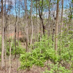 Photo #4 of 1 Falling Creek Road, Bedford, VA 8.9 acres