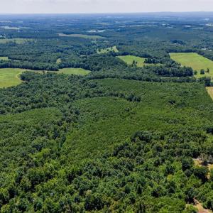 Photo #15 of Sandy Road, Gretna, VA 86.2 acres