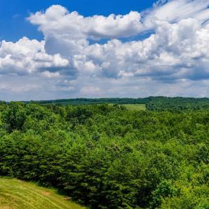 Photo #18 of Sandy Road, Gretna, VA 86.2 acres