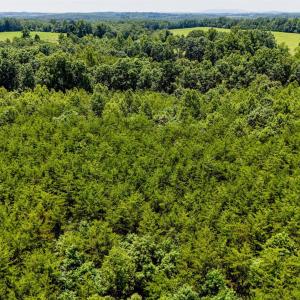 Photo #23 of Sandy Road, Gretna, VA 86.2 acres