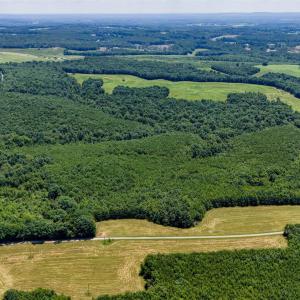 Photo #3 of Sandy Road, Gretna, VA 86.2 acres