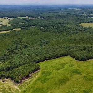 Photo #9 of Sandy Road, Gretna, VA 86.2 acres