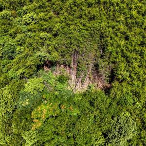 Photo #21 of Sandy Road, Gretna, VA 86.2 acres