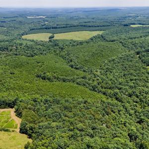 Photo #6 of Sandy Road, Gretna, VA 86.2 acres