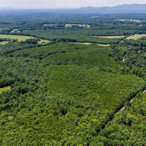 Photo #13 of Sandy Road, Gretna, VA 86.2 acres