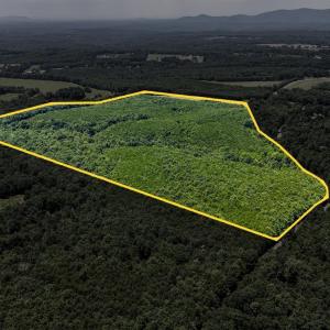Photo #12 of Sandy Road, Gretna, VA 86.2 acres