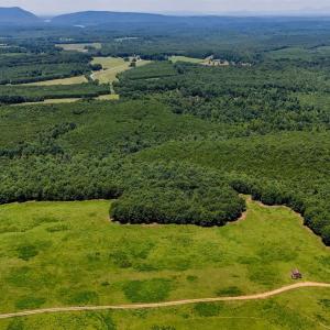 Photo #10 of Sandy Road, Gretna, VA 86.2 acres