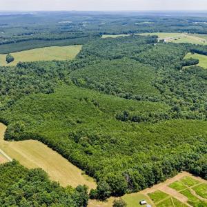 Photo #5 of Sandy Road, Gretna, VA 86.2 acres