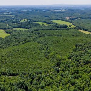 Photo #17 of Sandy Road, Gretna, VA 86.2 acres
