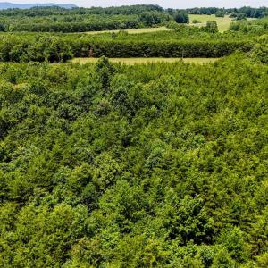 Photo #24 of Sandy Road, Gretna, VA 86.2 acres
