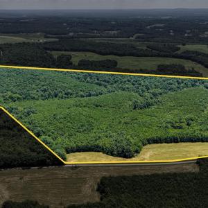 Photo #2 of Sandy Road, Gretna, VA 86.2 acres