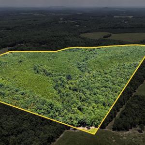 Photo #7 of Sandy Road, Gretna, VA 86.2 acres