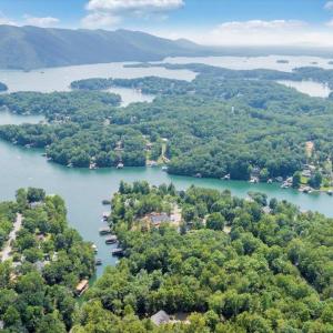 Photo #7 of Lakefield Drive, Huddleston, VA 1.3 acres