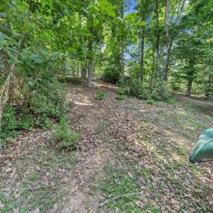 Photo #28 of Lakefield Drive, Huddleston, VA 1.3 acres