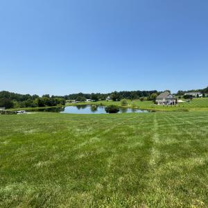 Photo #1 of 3 Duck Pond, Appomattox, VA 1.5 acres
