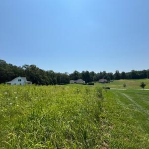 Photo #4 of 3 Duck Pond, Appomattox, VA 1.5 acres