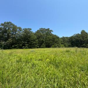 Photo #5 of 3 Duck Pond, Appomattox, VA 1.5 acres