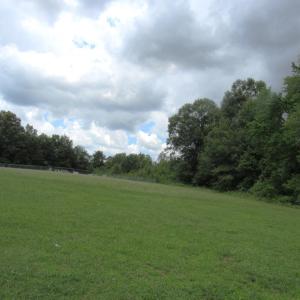 Photo #1 of Lowesville Road, Piney River, VA 6.5 acres