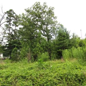 Photo #2 of Lowesville Road, Piney River, VA 6.5 acres