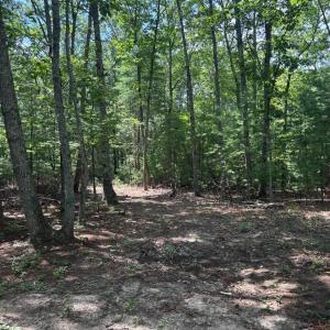 Photo #1 of Cheatham Road, Monroe, VA 27.5 acres