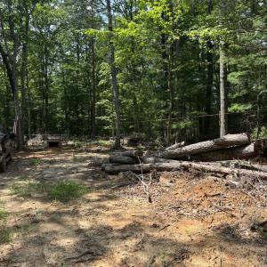 Photo #4 of Cheatham Road, Monroe, VA 27.5 acres