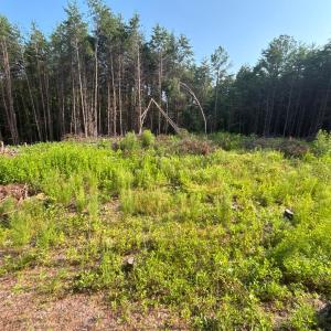 Photo #1 of Felix Road, Nathalie, VA 19.8 acres