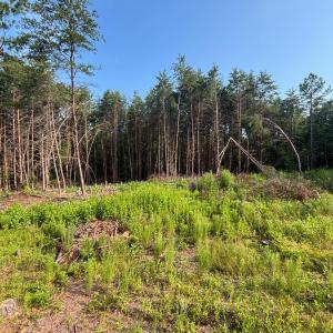 Photo #9 of Felix Road, Nathalie, VA 19.8 acres