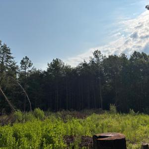 Photo #6 of Felix Road, Nathalie, VA 19.8 acres