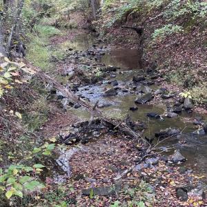 Photo #2 of Felix Road, Nathalie, VA 19.8 acres